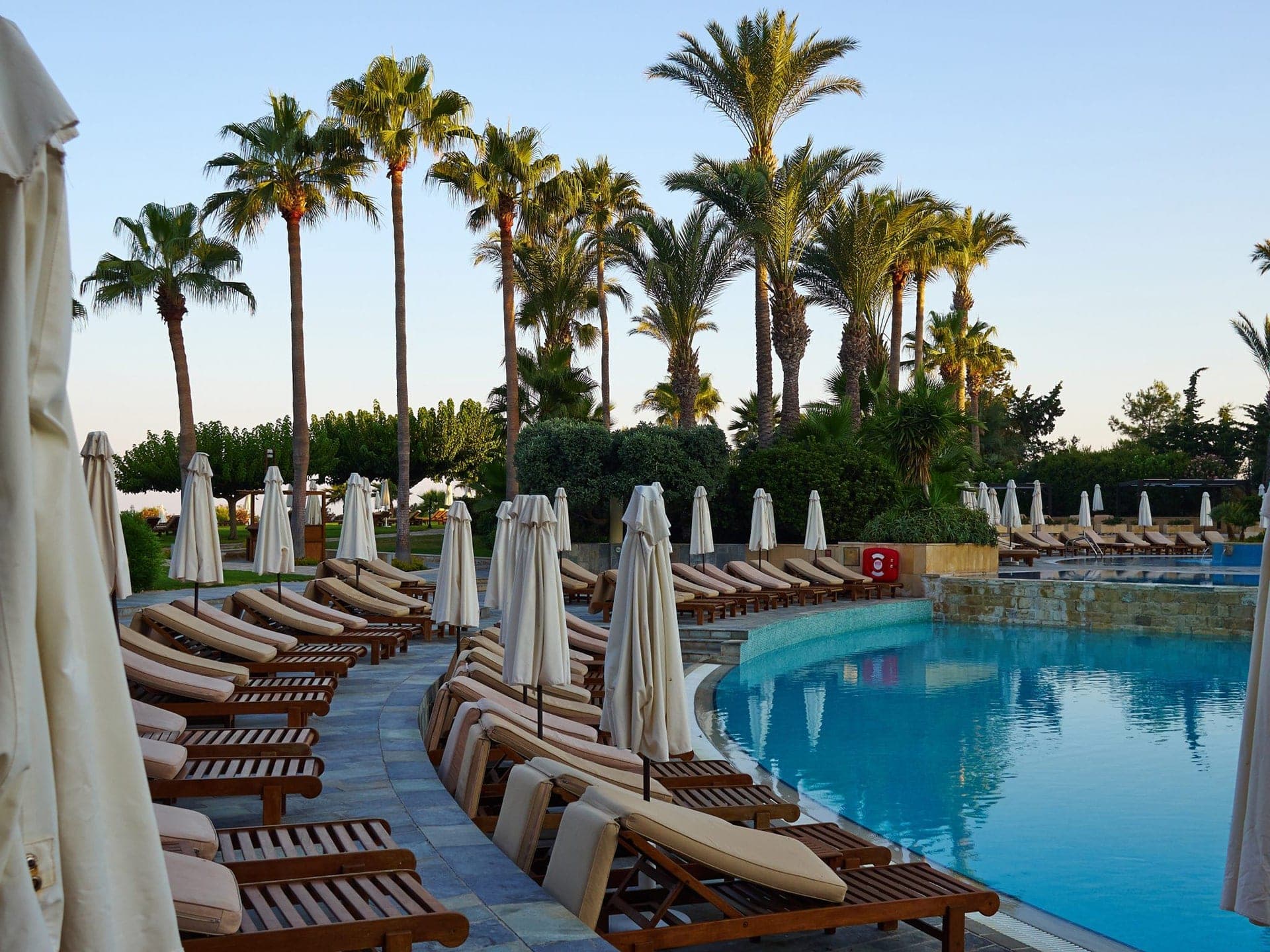 Luxurious poolside with loungers and palm trees.